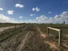 52B Schutt Road, Dublin, SA 5501-Image