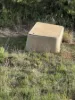 52B Schutt Road, Dublin, SA 5501-Image