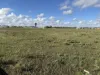 52B Schutt Road, Dublin, SA 5501-Image