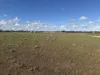 52B Schutt Road, Dublin, SA 5501-Image