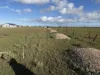 52B Schutt Road, Dublin, SA 5501-Image