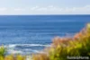 53 Harrington Crescent, Bawley Point, NSW 2539-Image