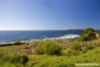 53 Harrington Crescent, Bawley Point, NSW 2539-Image