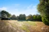 53 Kirip Road, Glencoe, SA 5291-Image