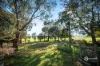 53 Kirip Road, Glencoe, SA 5291-Image