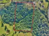 53 Nethercote Road, Eden, NSW 2551-Image