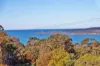 53 Nethercote Road, Eden, NSW 2551-Image