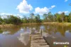 53 Peters Road, Redridge, Qld 4660-Image