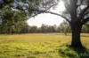 53 Wisemans Way, Sedgefield, NSW 2330-Image