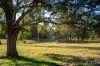 53 Wisemans Way, Sedgefield, NSW 2330-Image