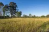 53 Wisemans Way, Sedgefield, NSW 2330-Image