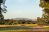 53 Wisemans Way, Sedgefield, NSW 2330-Image