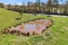 5393 Maroondah Highway, Alexandra, Vic 3714-Image