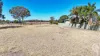 54 Baan Baa Road, Baan Baa, NSW 2390-Image