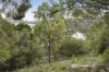 54 Blyth Parade, Great Bay, Tas 7150-Image