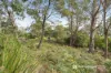 54 Blyth Parade, Great Bay, Tas 7150-Image