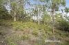 54 Blyth Parade, Great Bay, Tas 7150-Image