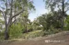 54 Blyth Parade, Great Bay, Tas 7150-Image