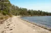 54 Blyth Parade, Great Bay, Tas 7150-Image