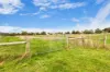 54 Brown Street, Lismore, Vic 3324-Image