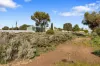 54 Moonta Road, Moonta Bay, SA 5558-Image