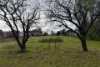 54 Newall Street, Marnoo, Vic 3387-Image