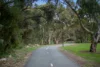 54 Sanctuary Avenue, Kidman Park, SA 5025-Image