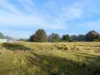 54 Walker Street, Waratah, Tas 7321-Image