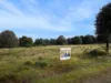 54 Walker Street, Waratah, Tas 7321-Image