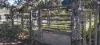 542 Gillens Siding Road, Moolboolaman, Qld 4671-Image