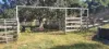 542 Gillens Siding Road, Moolboolaman, Qld 4671-Image