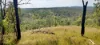 542 Gillens Siding Road, Moolboolaman, Qld 4671-Image