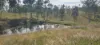 542 Gillens Siding Road, Moolboolaman, Qld 4671-Image