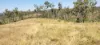 542 Gillens Siding Road, Moolboolaman, Qld 4671-Image