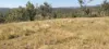 542 Gillens Siding Road, Moolboolaman, Qld 4671-Image