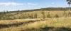 542 Gillens Siding Road, Moolboolaman, Qld 4671-Image