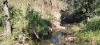 542 Gillens Siding Road, Moolboolaman, Qld 4671-Image