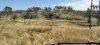 542 Gillens Siding Road, Moolboolaman, Qld 4671-Image