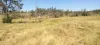542 Gillens Siding Road, Moolboolaman, Qld 4671-Image