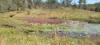542 Gillens Siding Road, Moolboolaman, Qld 4671-Image