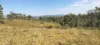 542 Gillens Siding Road, Moolboolaman, Qld 4671-Image