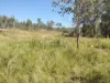 542 Gillens Siding Road, Moolboolaman, Qld 4671-Image