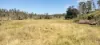 542 Gillens Siding Road, Moolboolaman, Qld 4671-Image