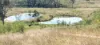542 Gillens Siding Road, Moolboolaman, Qld 4671-Image