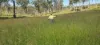 542 Gillens Siding Road, Moolboolaman, Qld 4671-Image