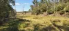 542 Gillens Siding Road, Moolboolaman, Qld 4671-Image