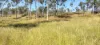 542 Gillens Siding Road, Moolboolaman, Qld 4671-Image