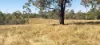 542 Gillens Siding Road, Moolboolaman, Qld 4671-Image