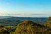 542 The Panorama, Tallai, Qld 4213-Image