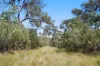 545 Pacific Drive, Deepwater, Qld 4674-Image
